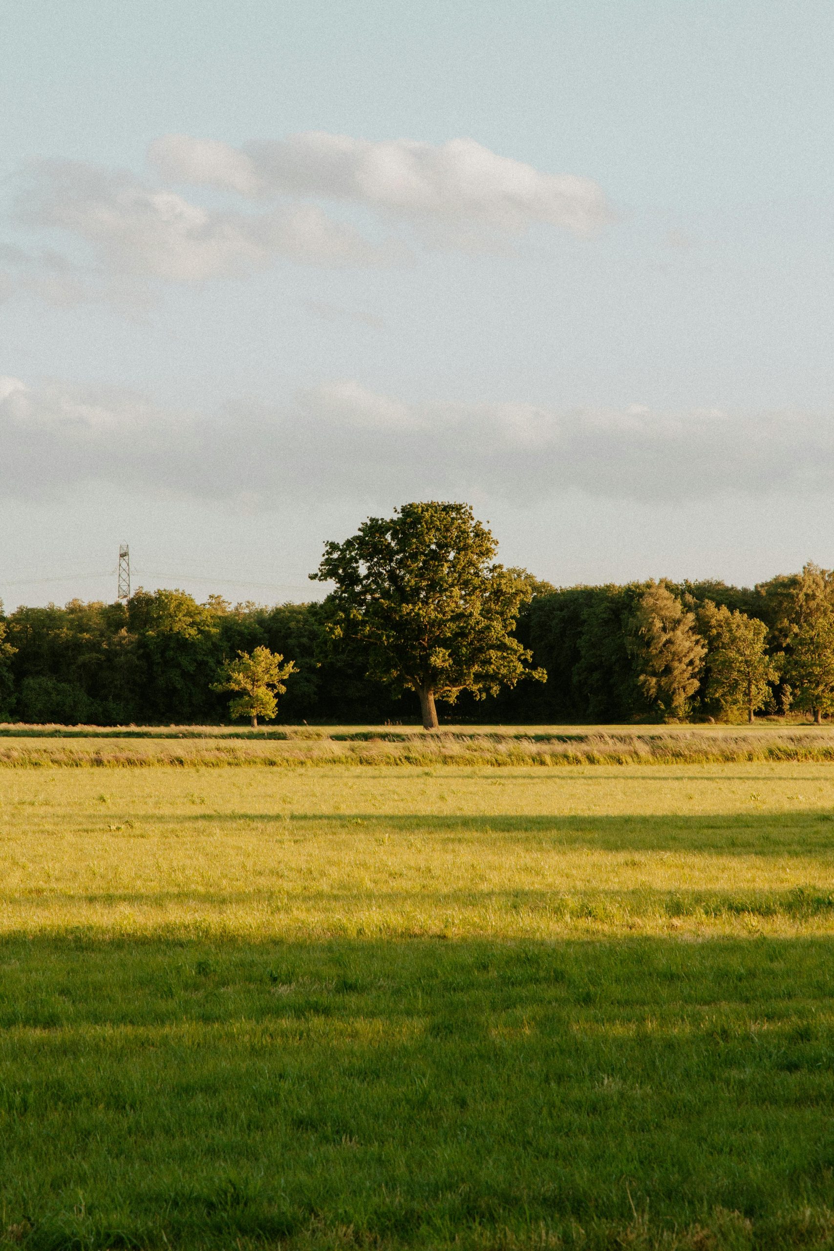 pexels-witheline-32593442
