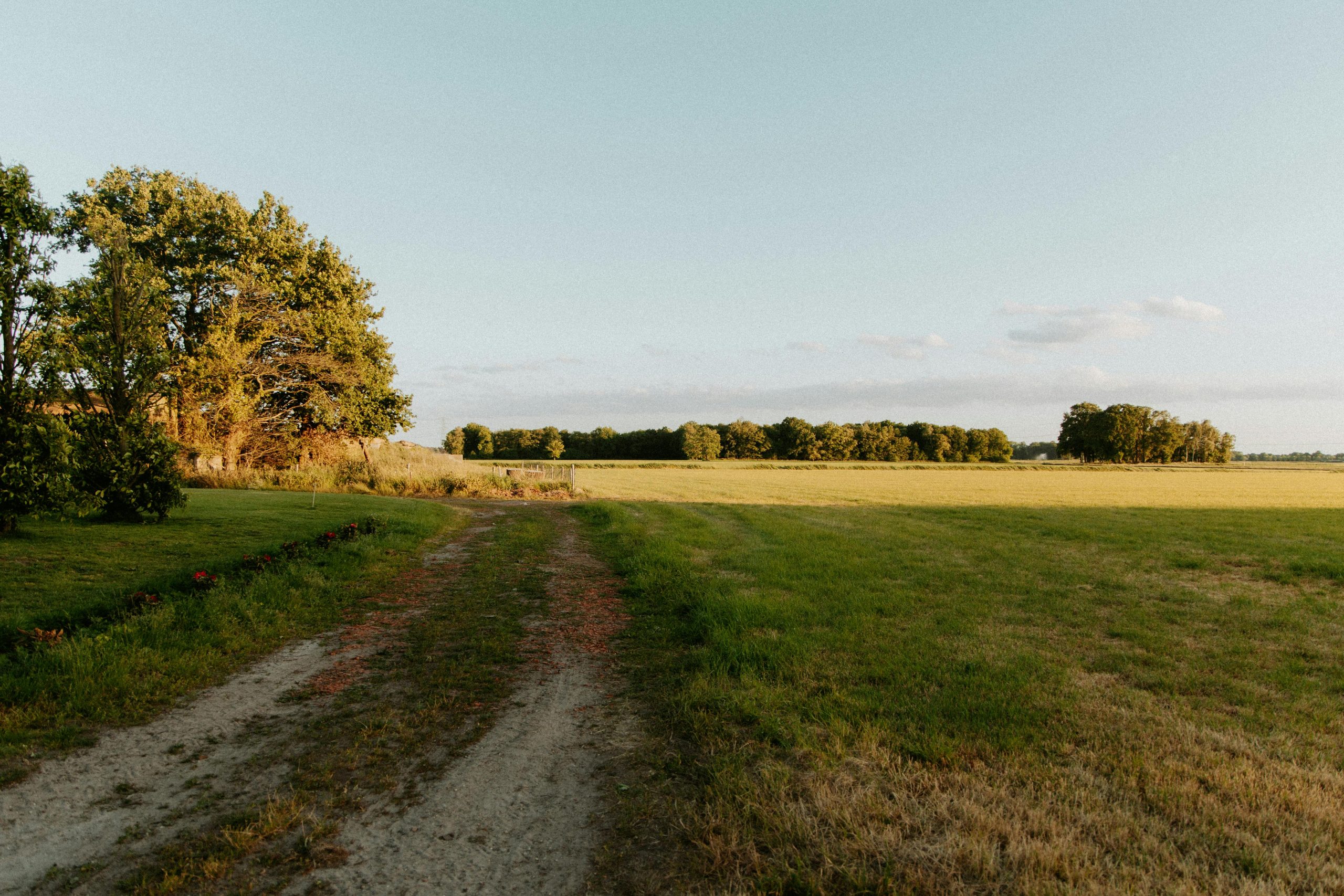 pexels-witheline-32593447