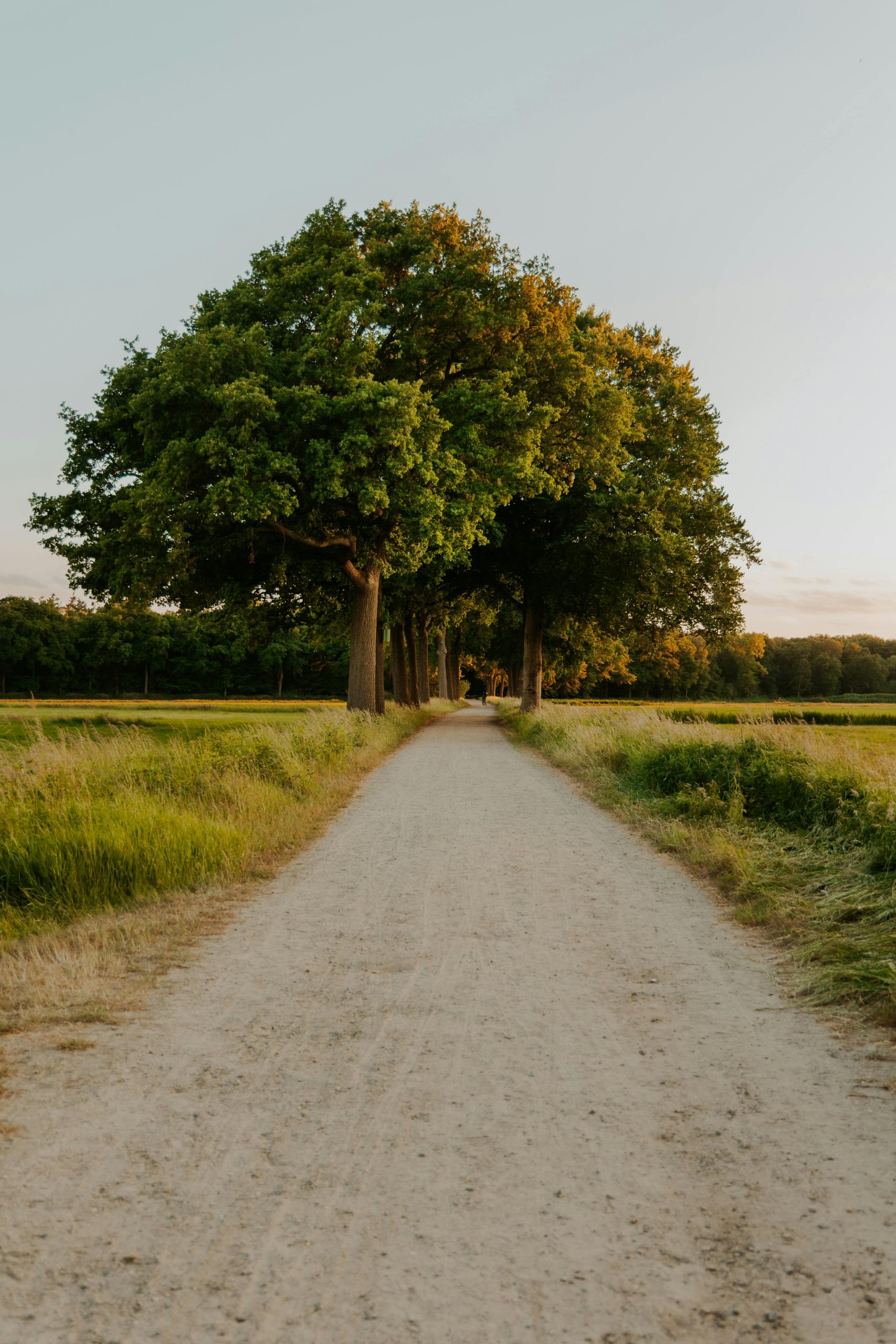 pexels-witheline-33301797